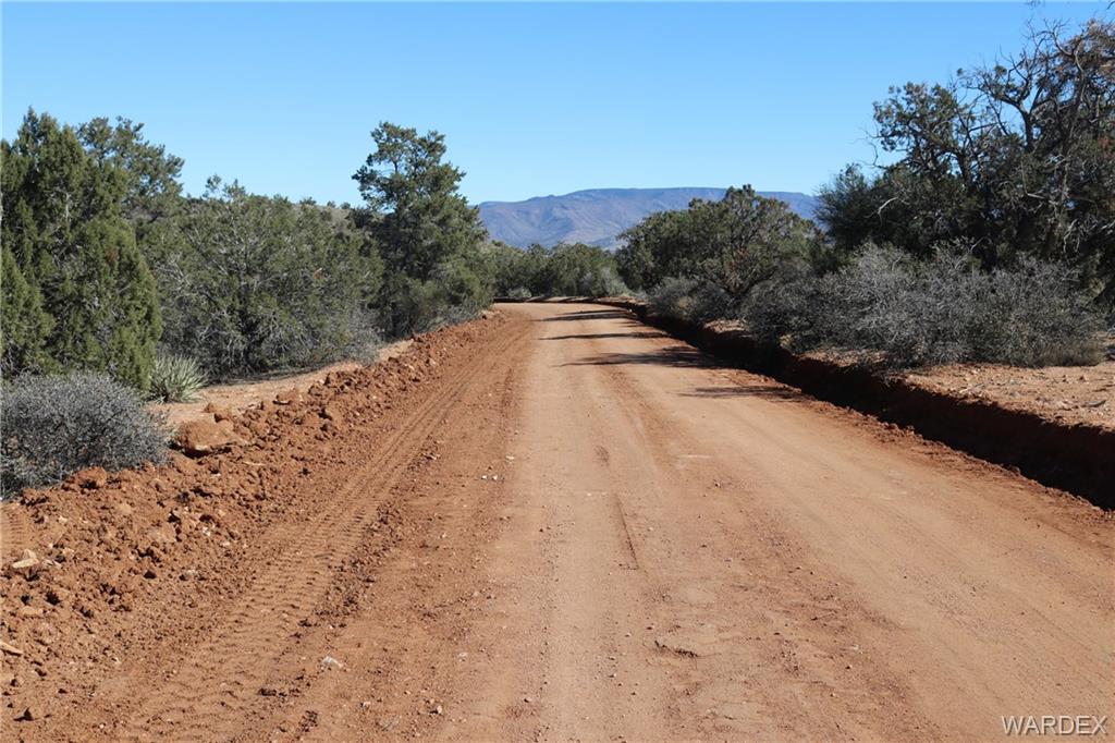 0 Mountain Springs Hackberry, AZ 86411 - Photo 12 of 13 a view of a dry yard with trees