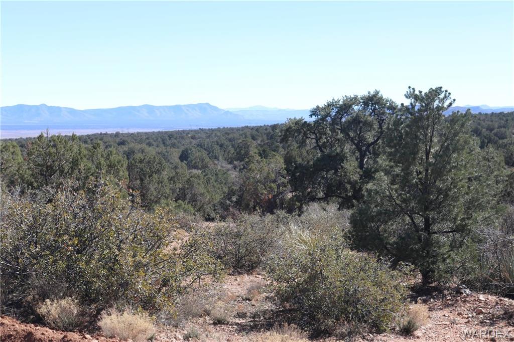 0 Mountain Springs Hackberry, AZ 86411 - Photo 2 of 13 a view of a dry yard with mountains in the background