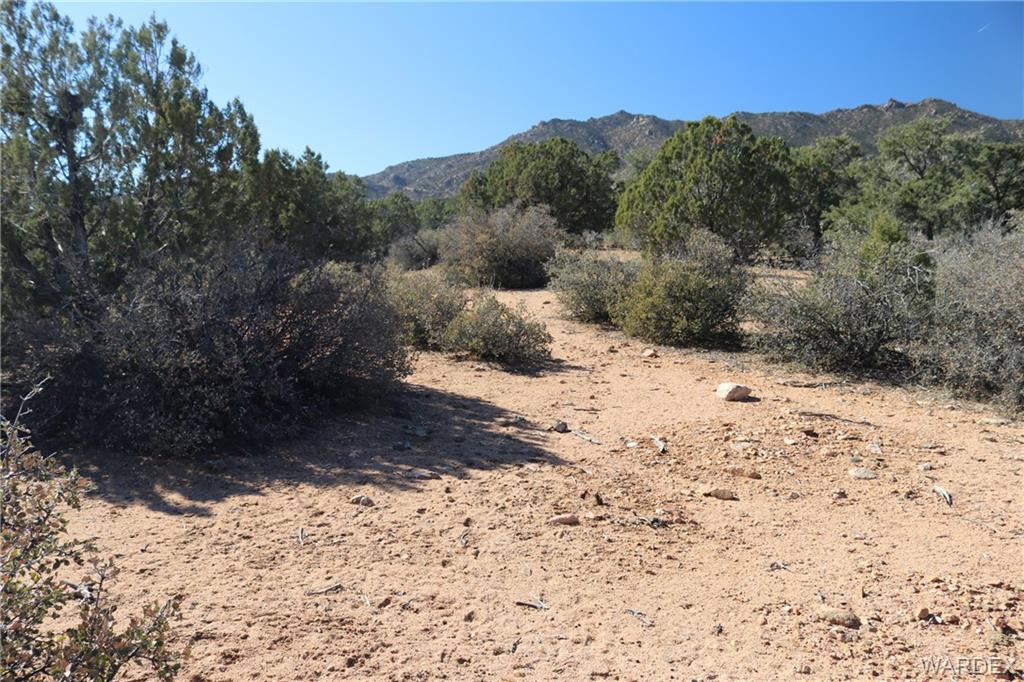 0 Mountain Springs Hackberry, AZ 86411 - Photo 5 of 13 a view of a yard covered in snow