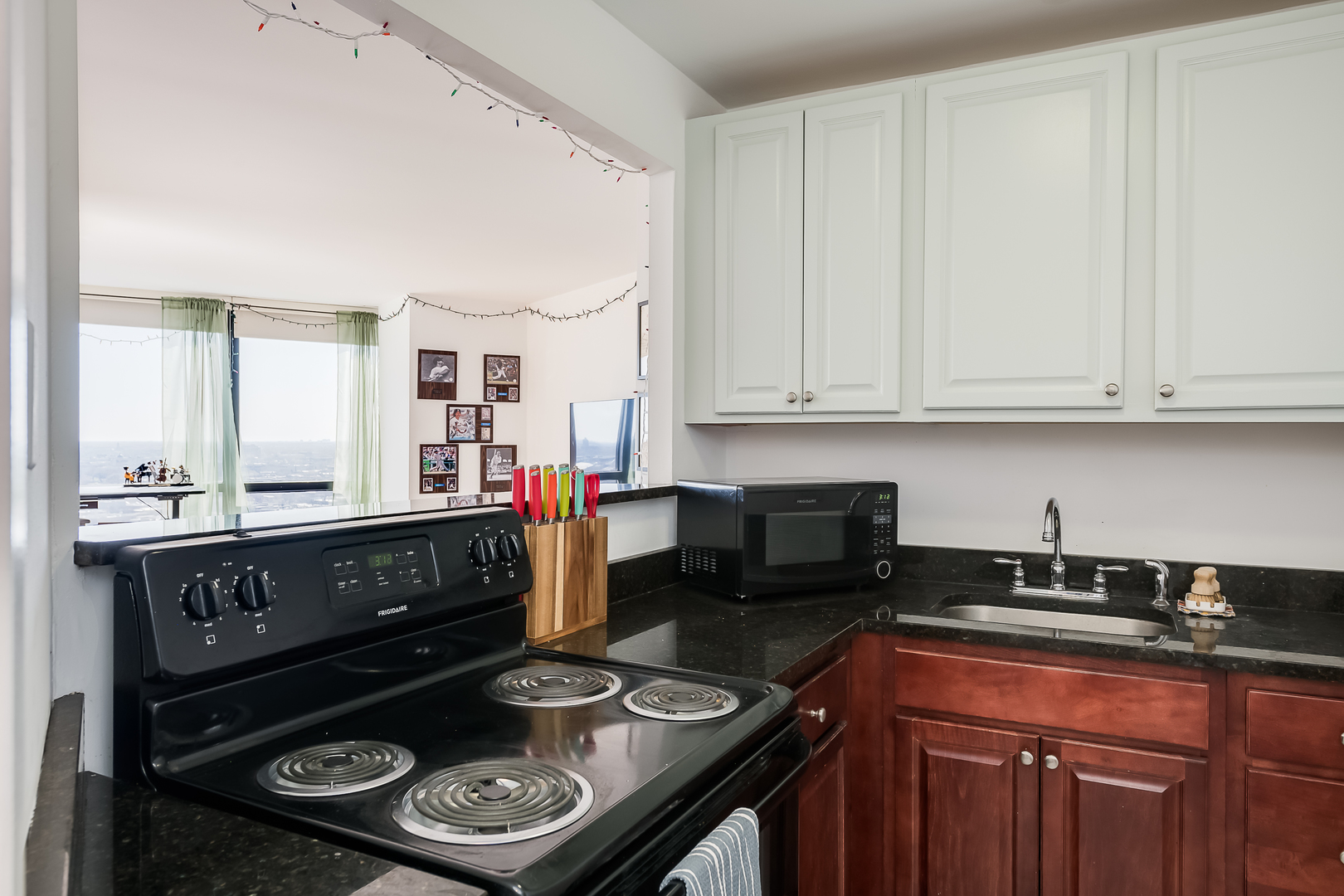 5415 North Sheridan Road, Unit 2412 Chicago, IL 60640 - Photo 11 of 27 Gallery Image 11
