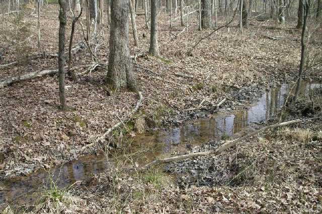 6710 Hebron Church Road Mebane, NC 27302 - Photo 10 of 12 Spring-fed Stream entering lake