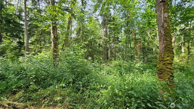 $184,000 | -xxxb South Dove Drive, Camano Island, WA 98282