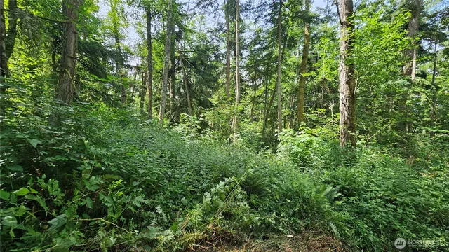 $184,000 | -xxxb South Dove Drive, Camano Island, WA 98282