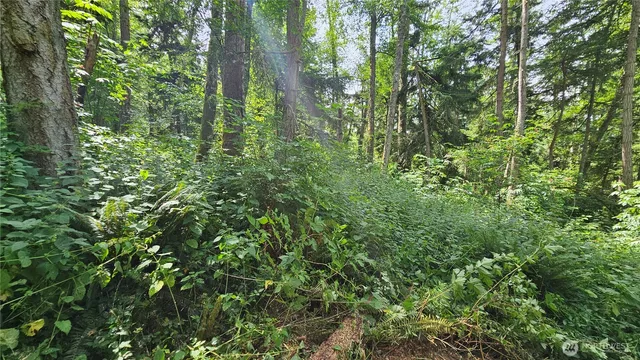 $184,000 | -xxxb South Dove Drive, Camano Island, WA 98282