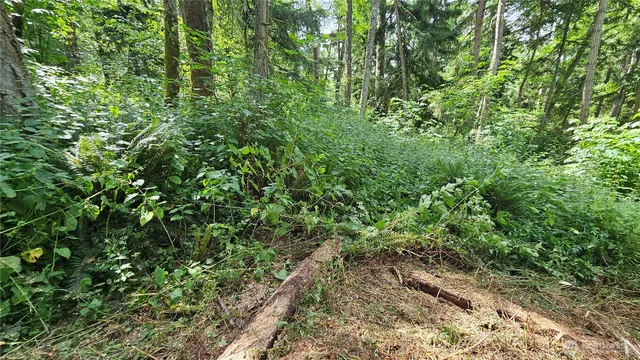 $184,000 | -xxxb South Dove Drive, Camano Island, WA 98282