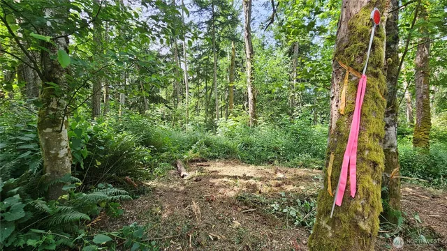 $184,000 | -xxxb South Dove Drive, Camano Island, WA 98282