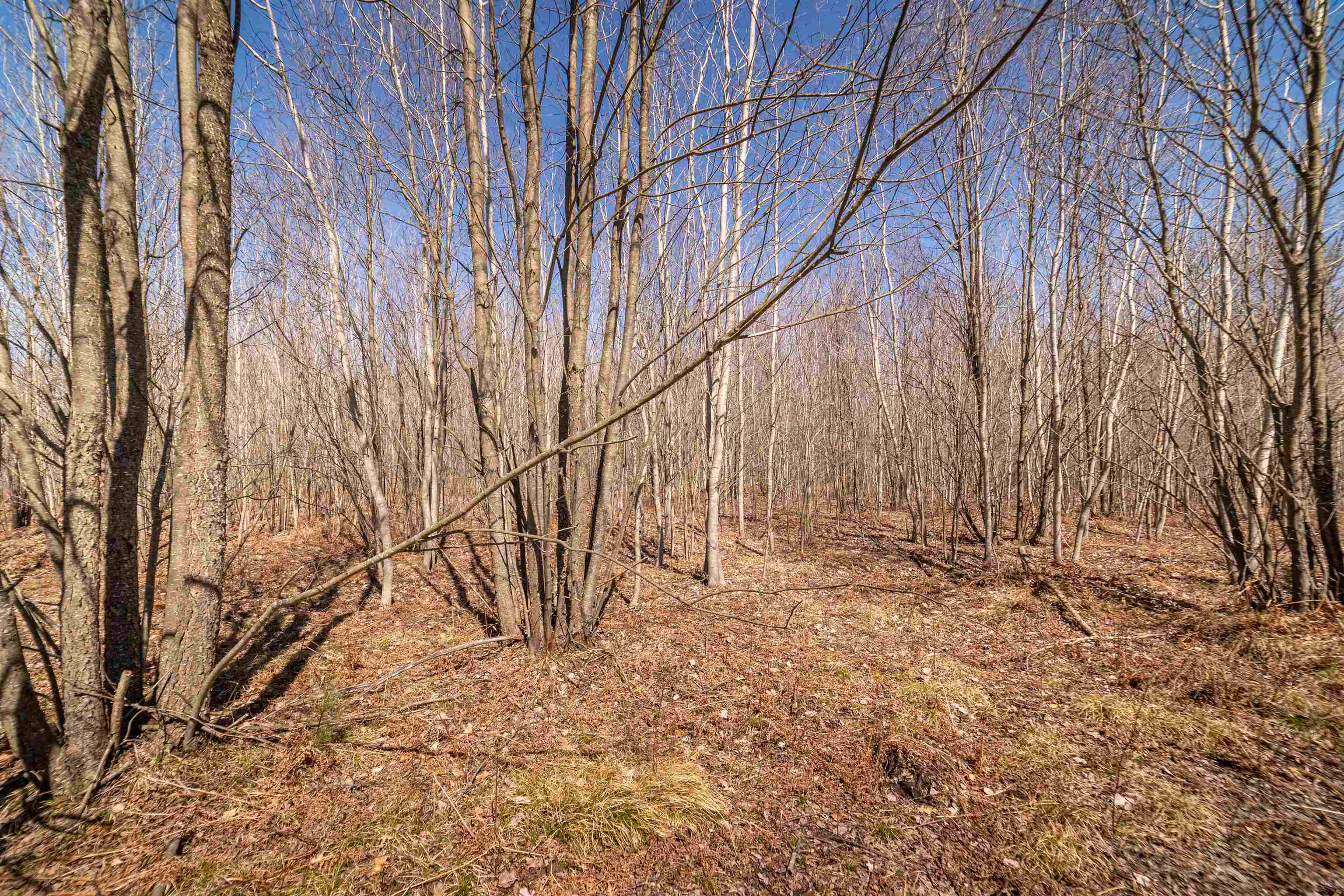 Hulkonen Road Kaleva, MI 49645 - Photo 13 of 19