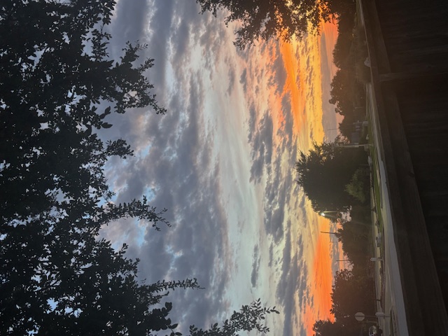 808 Bonnet Boulevard Georgetown, TX 78628 - Photo 36 of 40