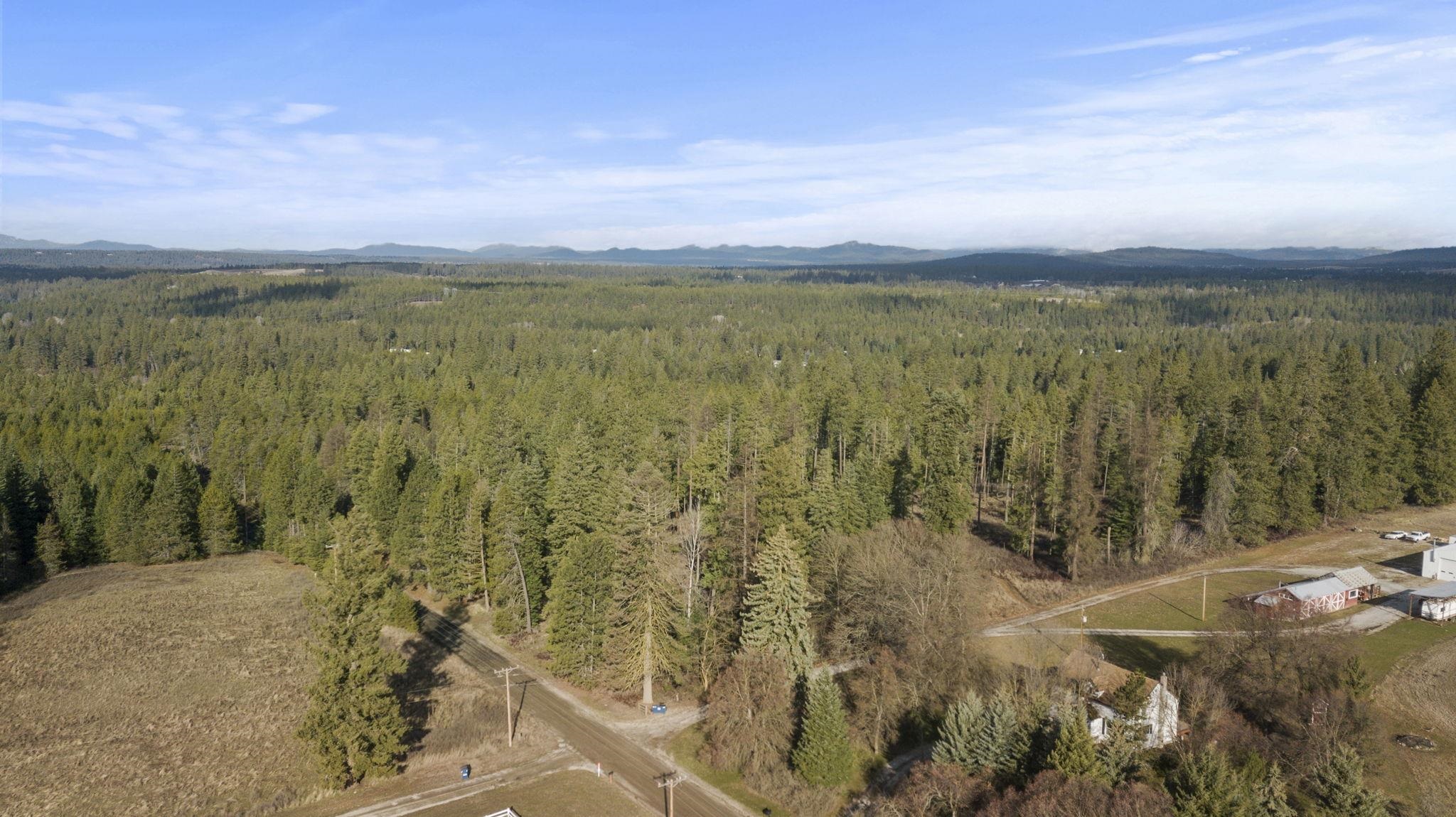 36611 North Muehle Road Elk, WA 99009 - Photo 1 of 32 Gallery Image 1