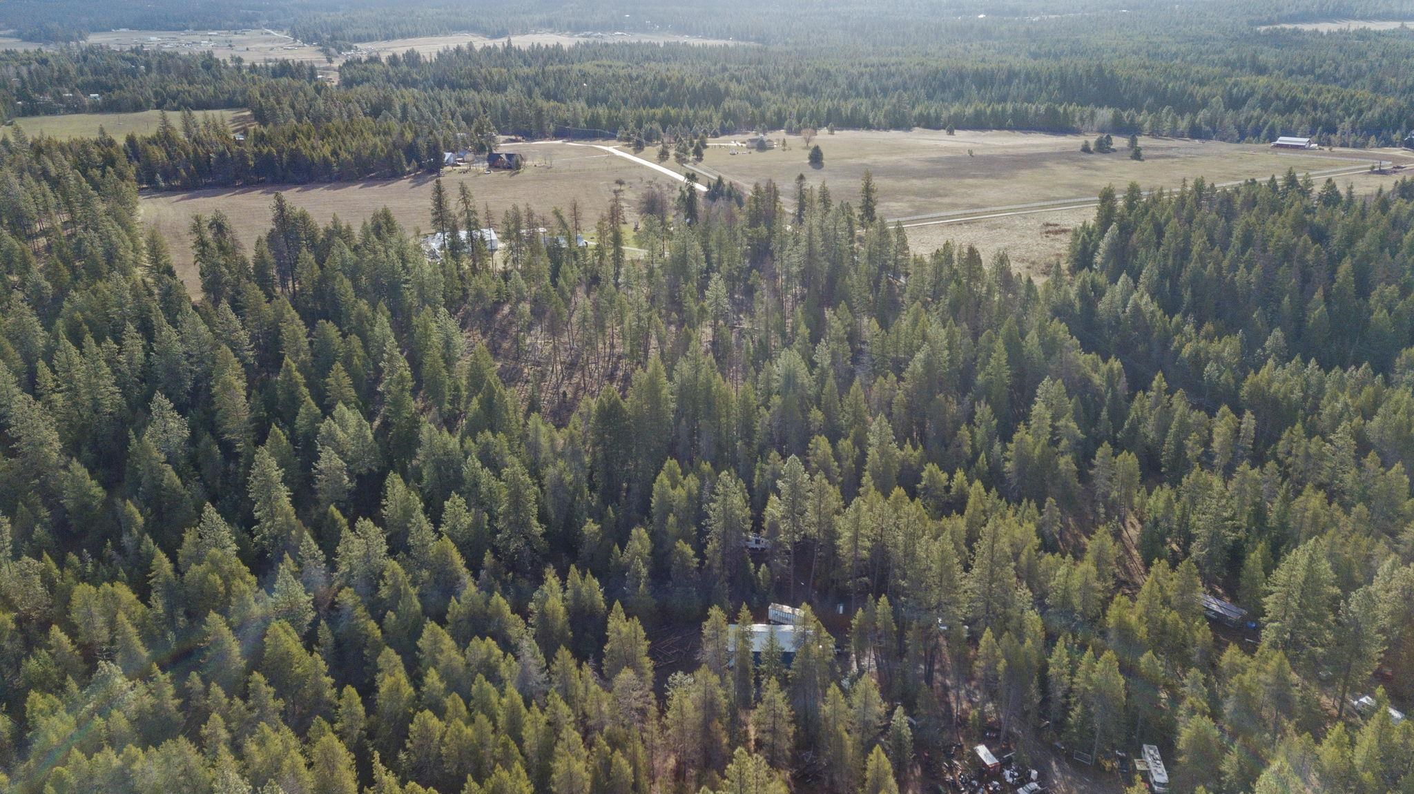 36611 North Muehle Road Elk, WA 99009 - Photo 12 of 32 Gallery Image 12