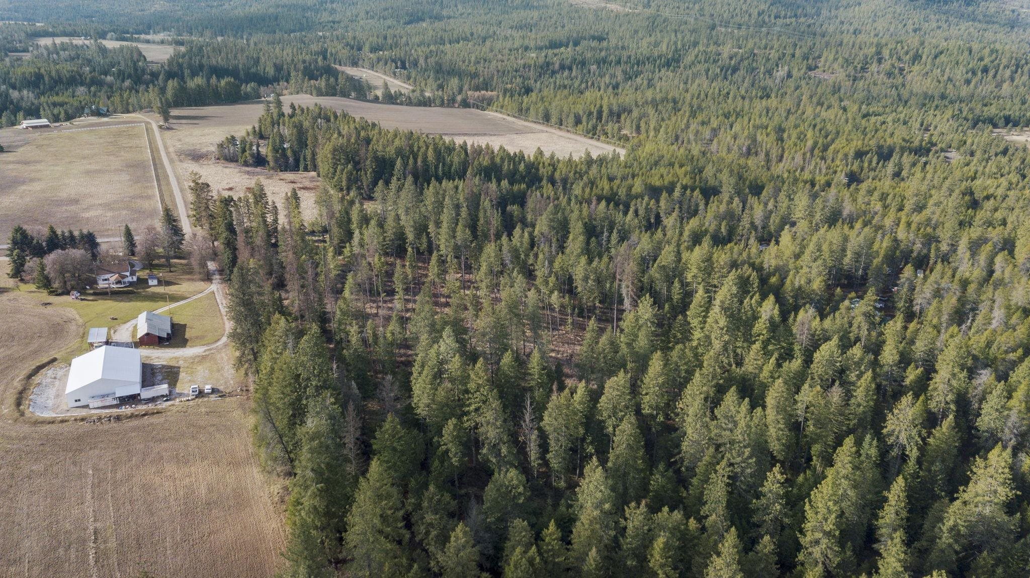 36611 North Muehle Road Elk, WA 99009 - Photo 16 of 32 Gallery Image 16