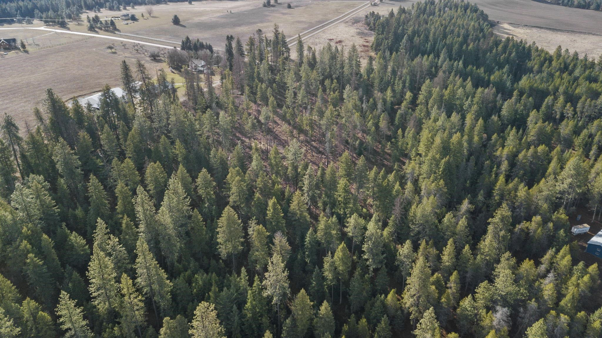 36611 North Muehle Road Elk, WA 99009 - Photo 18 of 32 Gallery Image 18