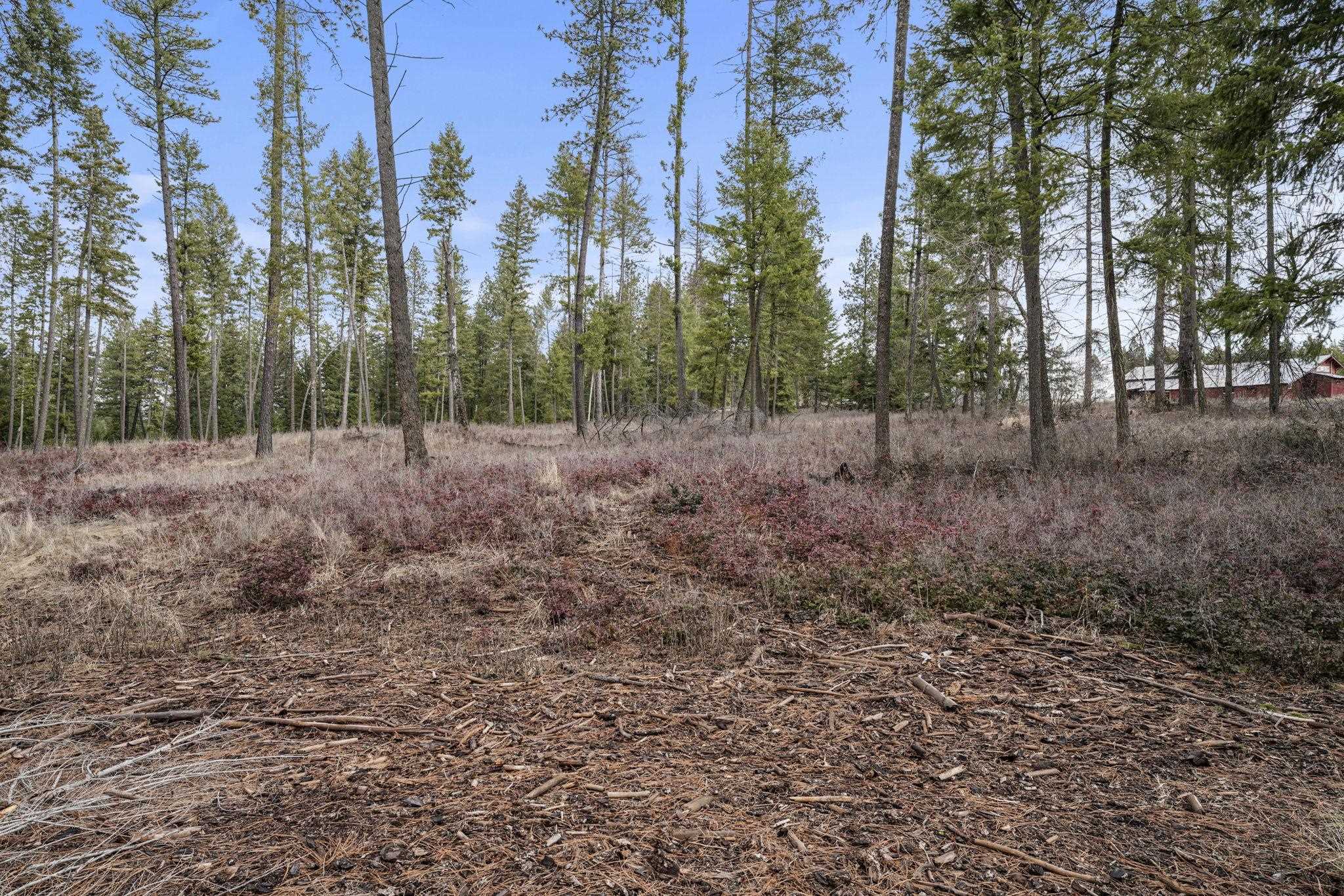 36611 North Muehle Road Elk, WA 99009 - Photo 24 of 32 Gallery Image 24
