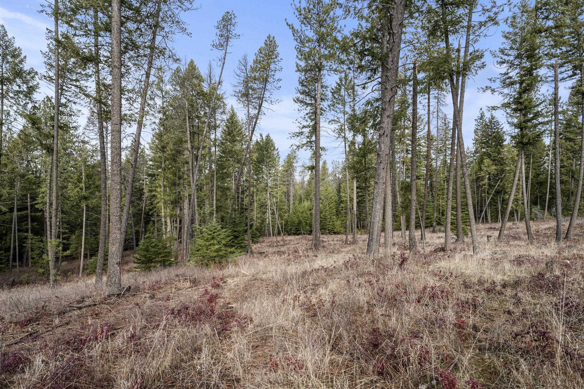 36611 North Muehle Road Elk, WA 99009 - Photo 27 of 32 Gallery Image 27