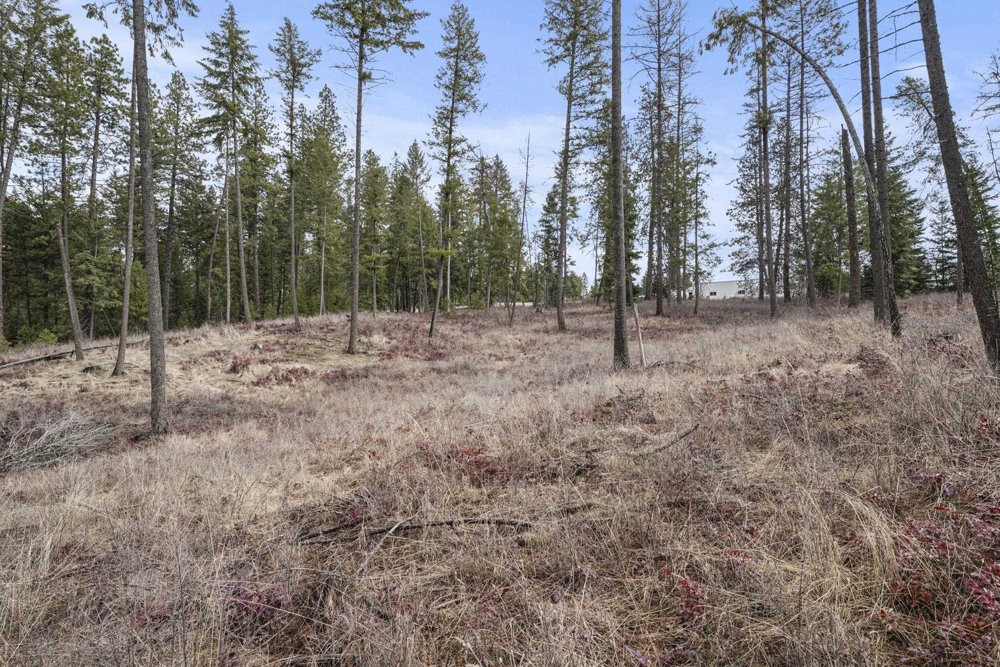 36611 North Muehle Road Elk, WA 99009 - Photo 29 of 32 Gallery Image 29