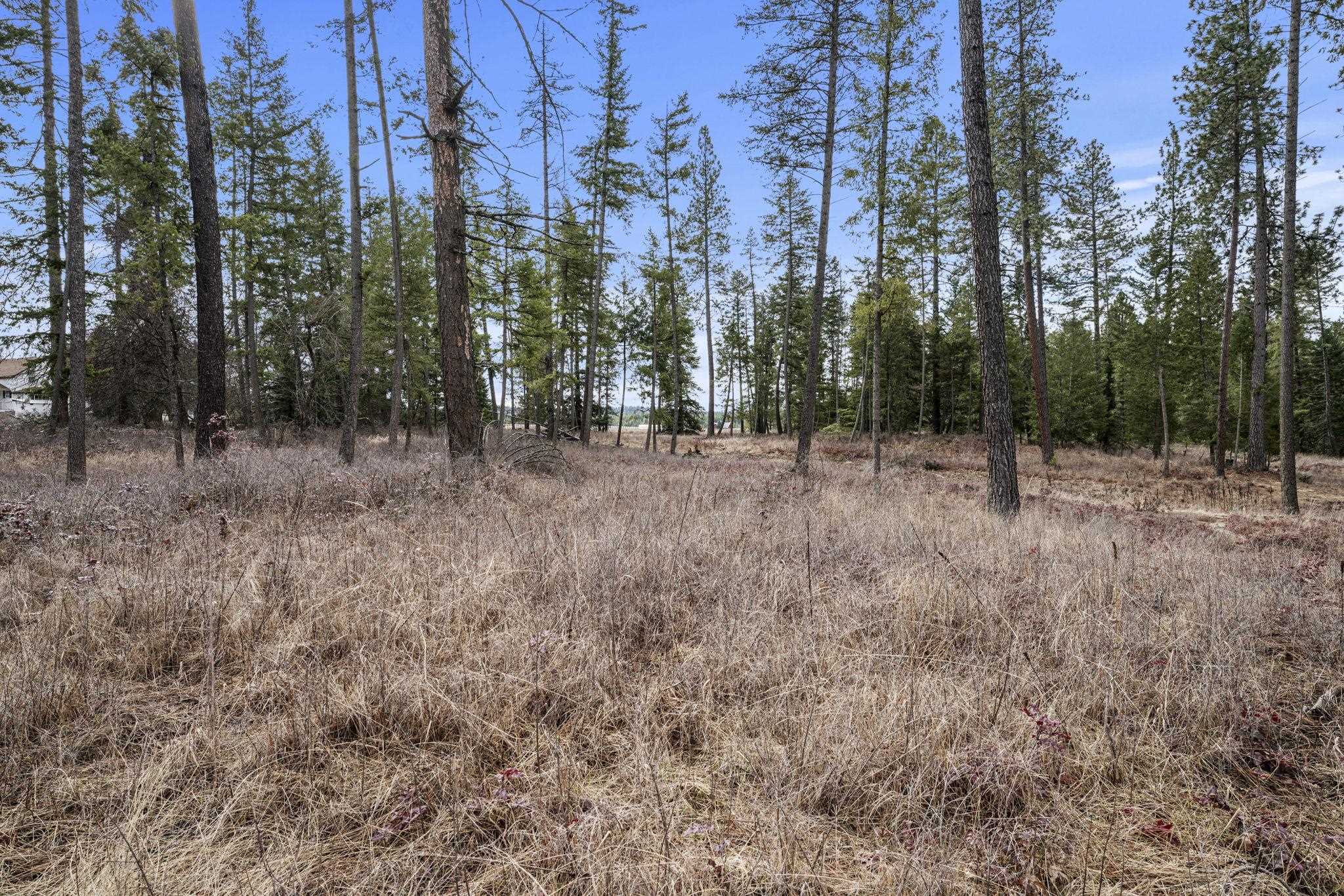 36611 North Muehle Road Elk, WA 99009 - Photo 30 of 32 Gallery Image 30