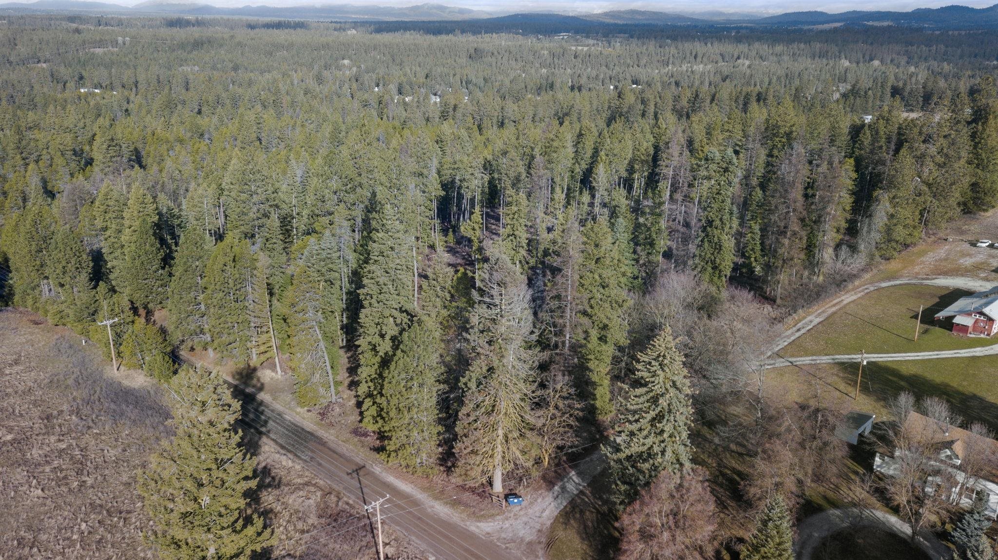 36611 North Muehle Road Elk, WA 99009 - Photo 5 of 32 Gallery Image 5