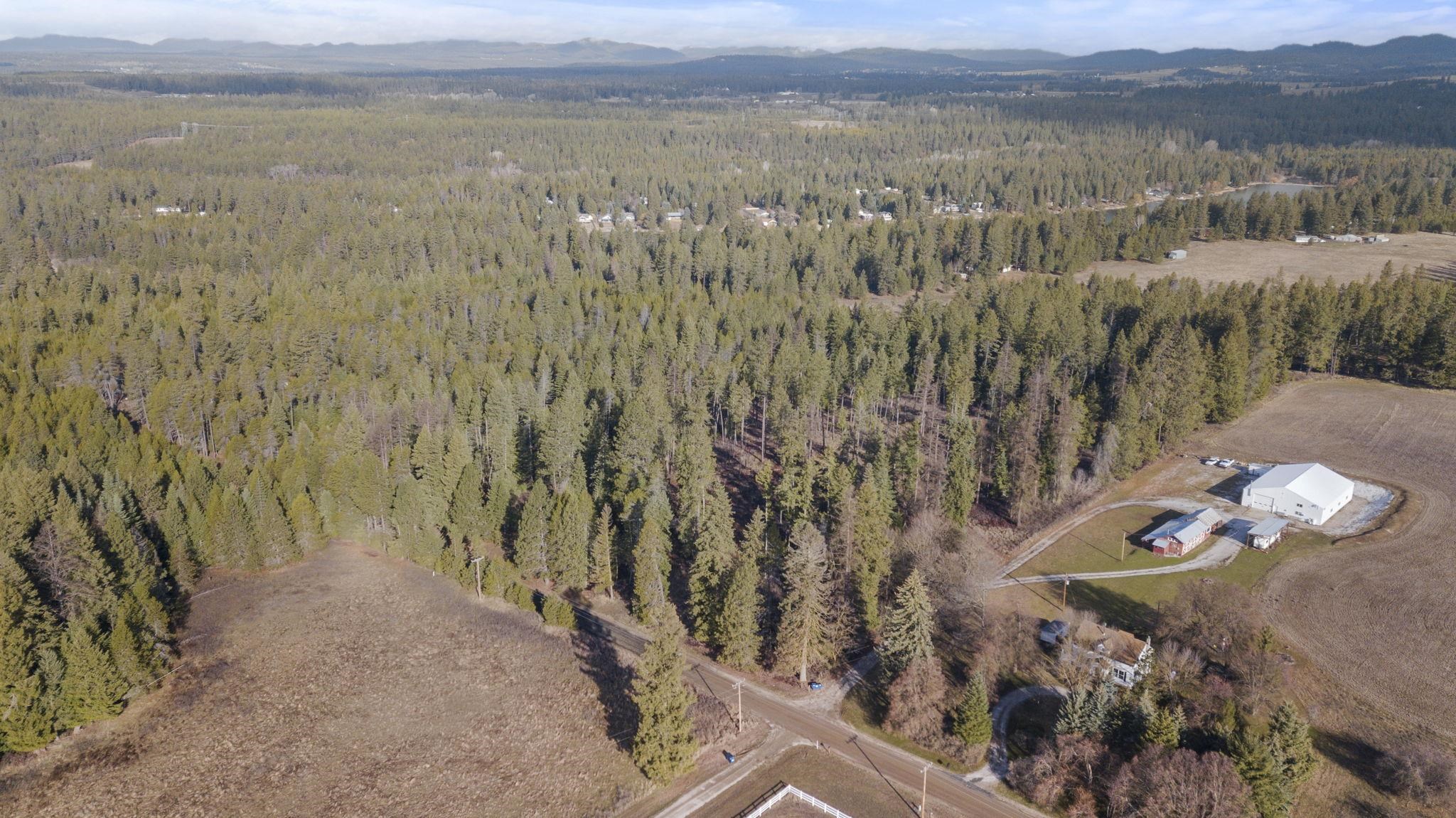 36611 North Muehle Road Elk, WA 99009 - Photo 6 of 32 Gallery Image 6