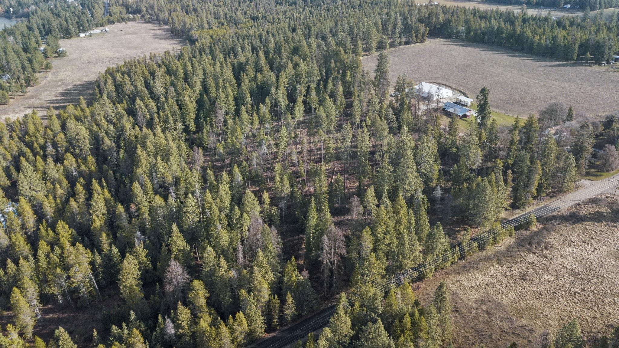 36611 North Muehle Road Elk, WA 99009 - Photo 8 of 32 Gallery Image 8