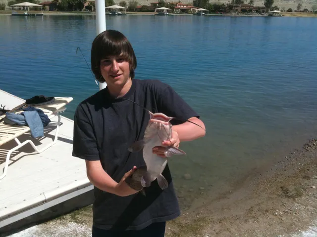 a lobby with furniture and a potted plant