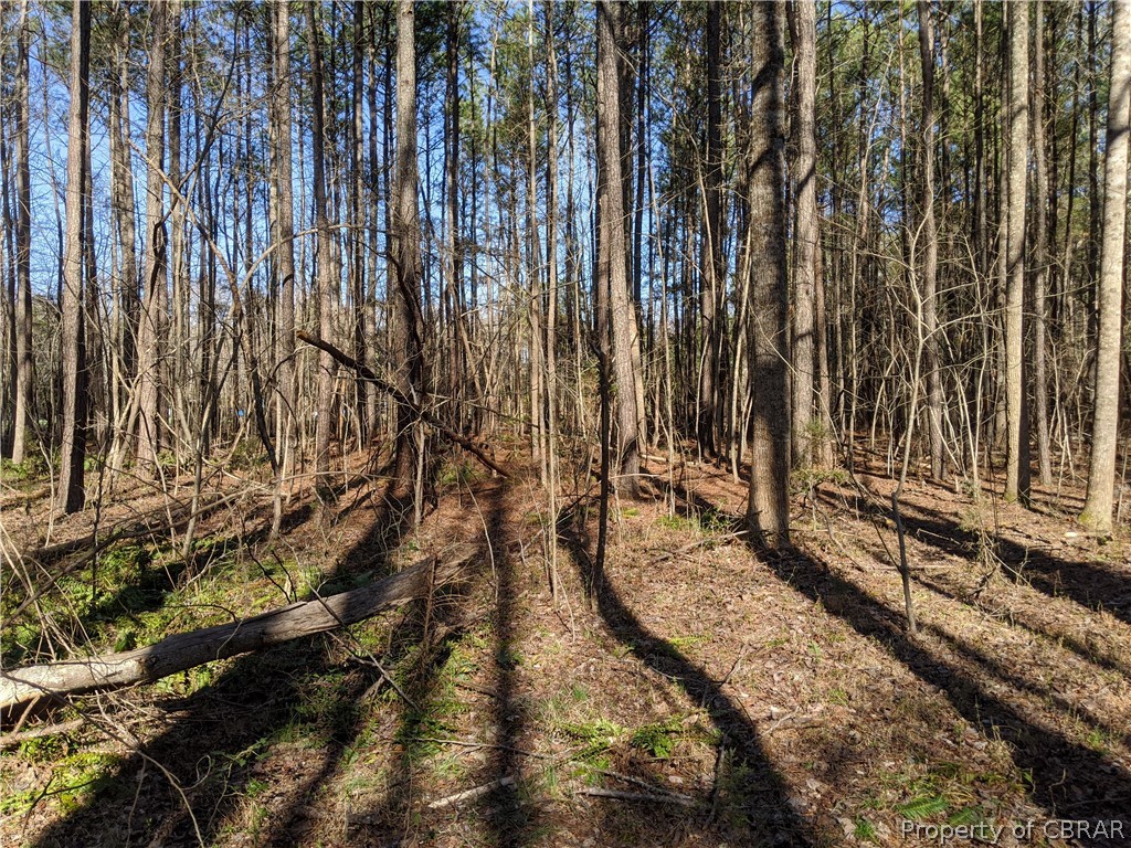 2 Chestnut Fork Road Gloucester, VA 23061 - Photo 7 of 11
