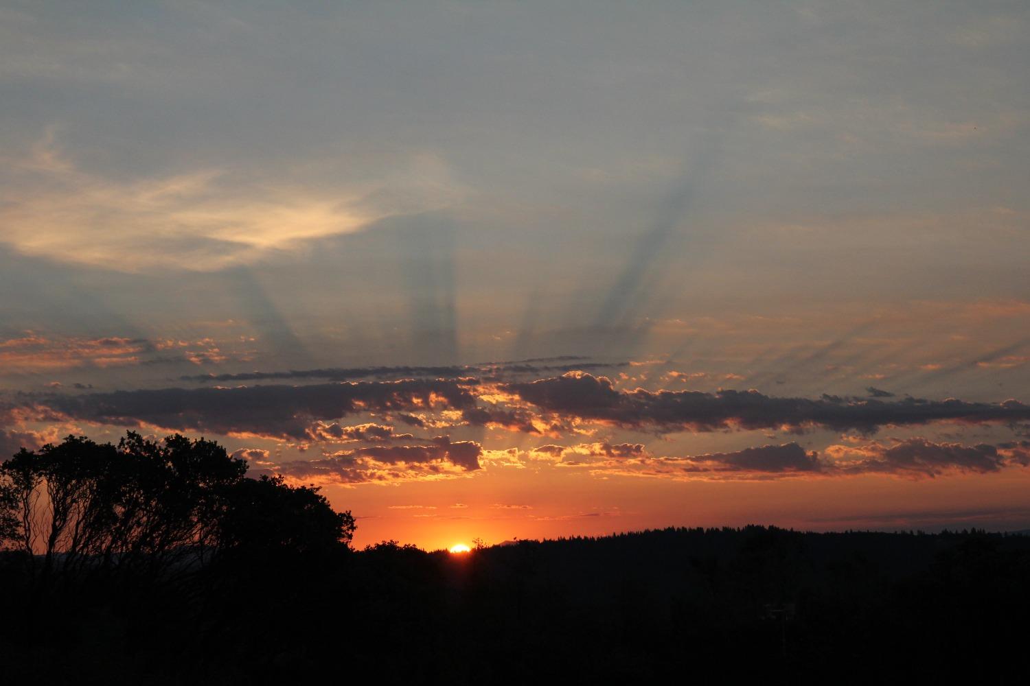 13197 American Ranch Court Grass Valley, CA 95949 - Photo 15 of 77 a view of a lake