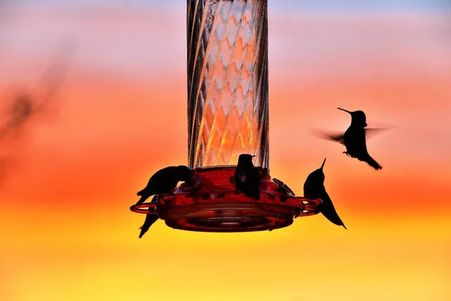 a kitchen with stainless steel appliances a stove a refrigerator a sink dishwasher and a dining table with the kitchen view