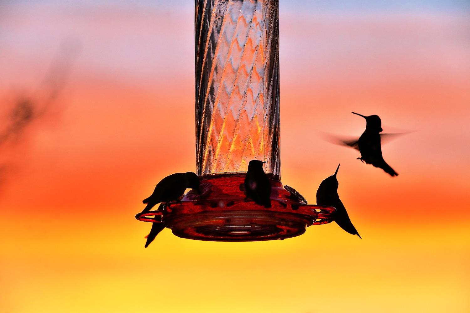 13197 American Ranch Court Grass Valley, CA 95949 - Photo 27 of 77