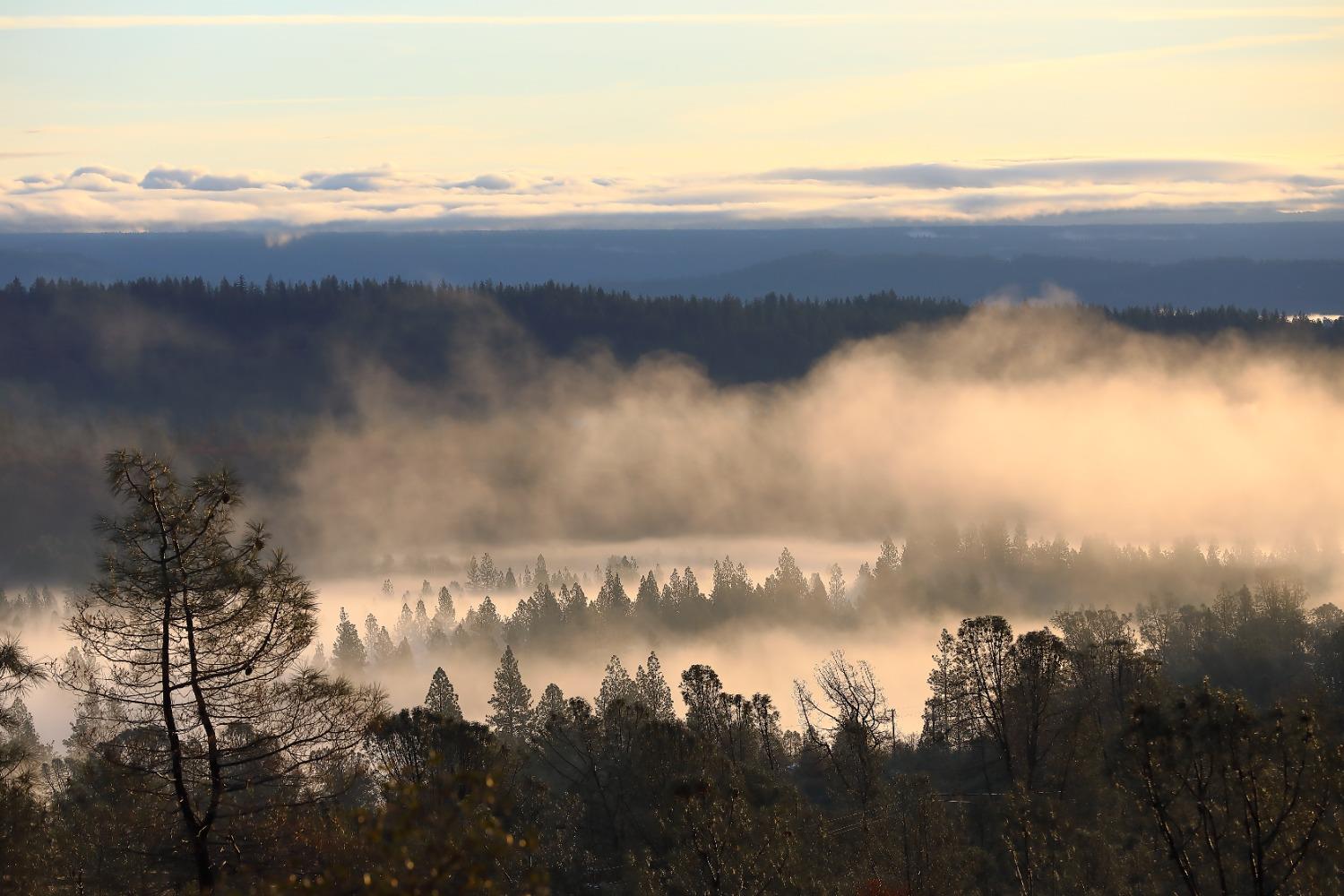 13197 American Ranch Court Grass Valley, CA 95949 - Photo 45 of 77 Early Morning Fog view from the house