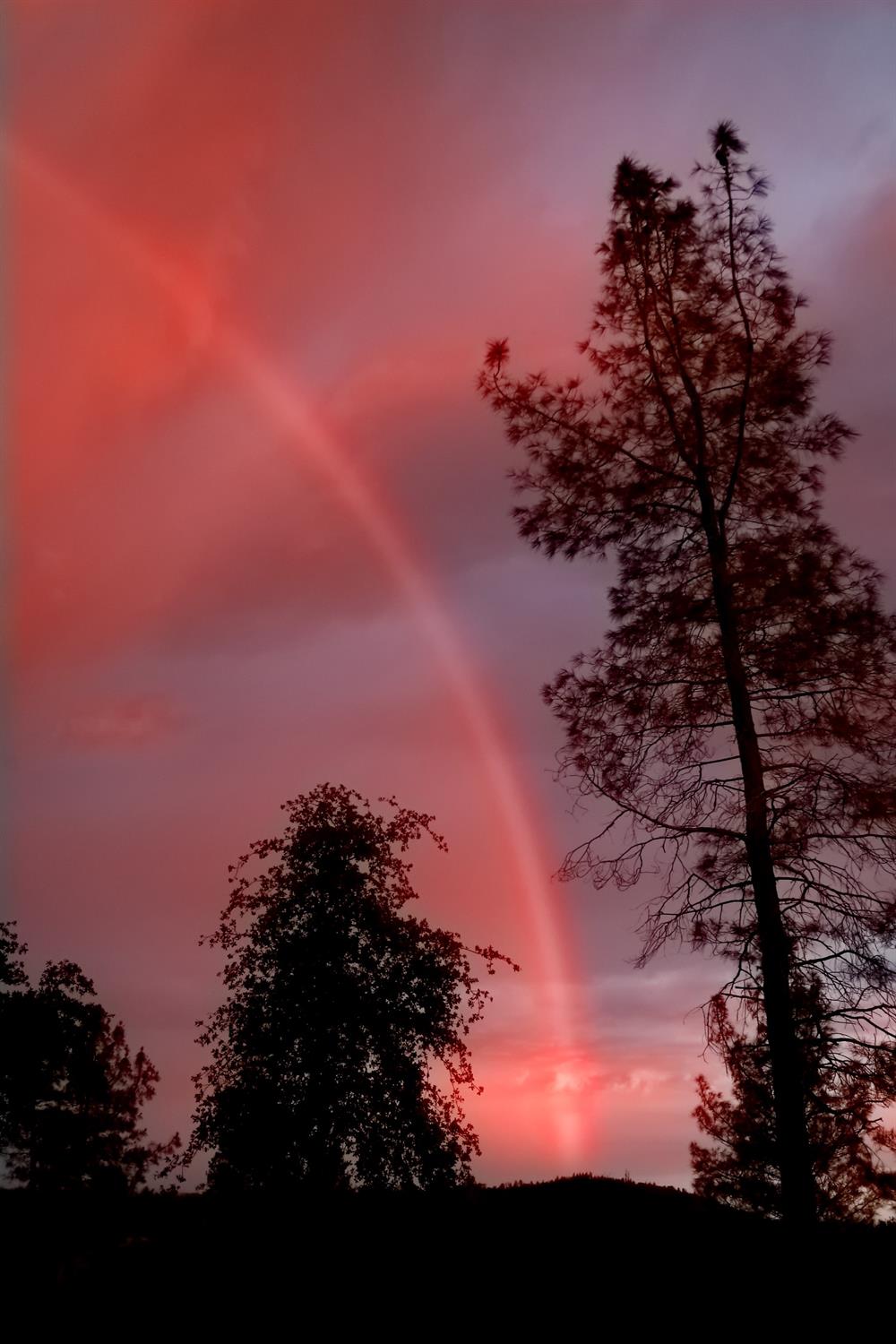 13197 American Ranch Court Grass Valley, CA 95949 - Photo 71 of 77