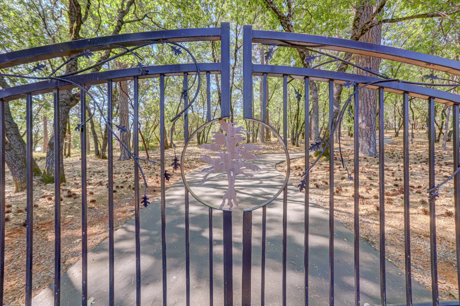 13197 American Ranch Court Grass Valley, CA 95949 - Photo 74 of 77