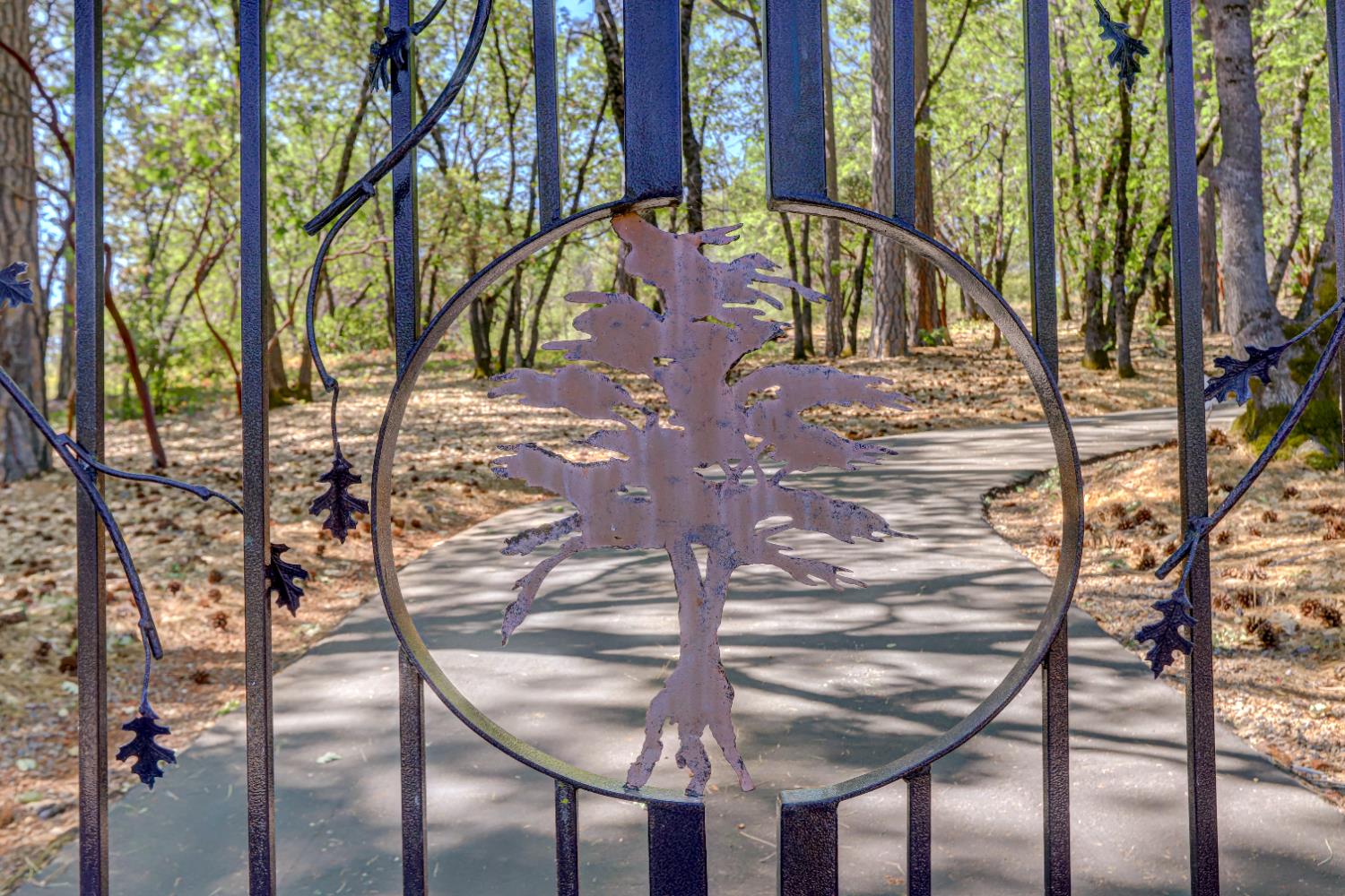 13197 American Ranch Court Grass Valley, CA 95949 - Photo 75 of 77