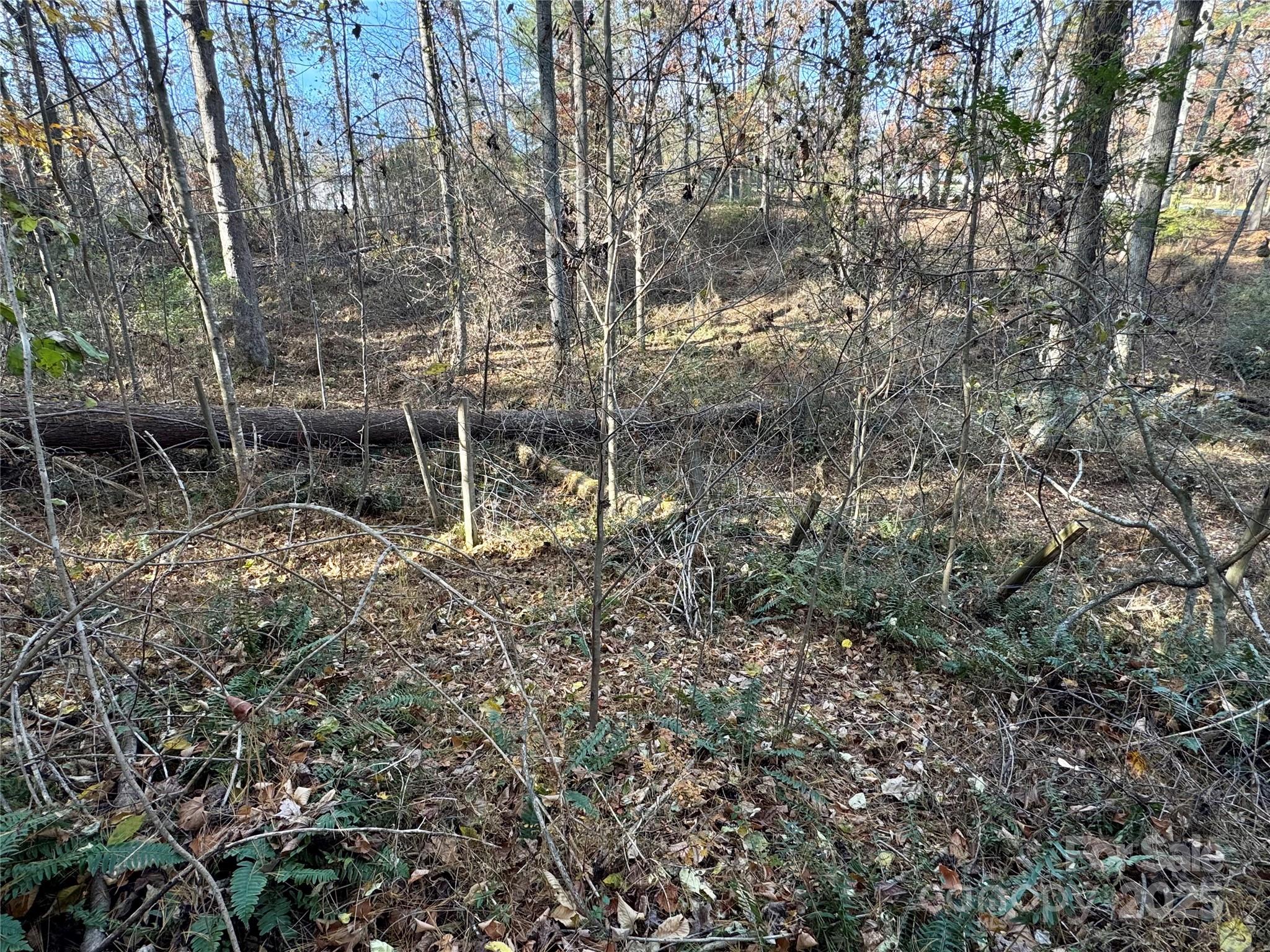 99999 Old Macedonia Road Alexander, NC 28701 - Photo 4 of 6 a view of a forest with trees