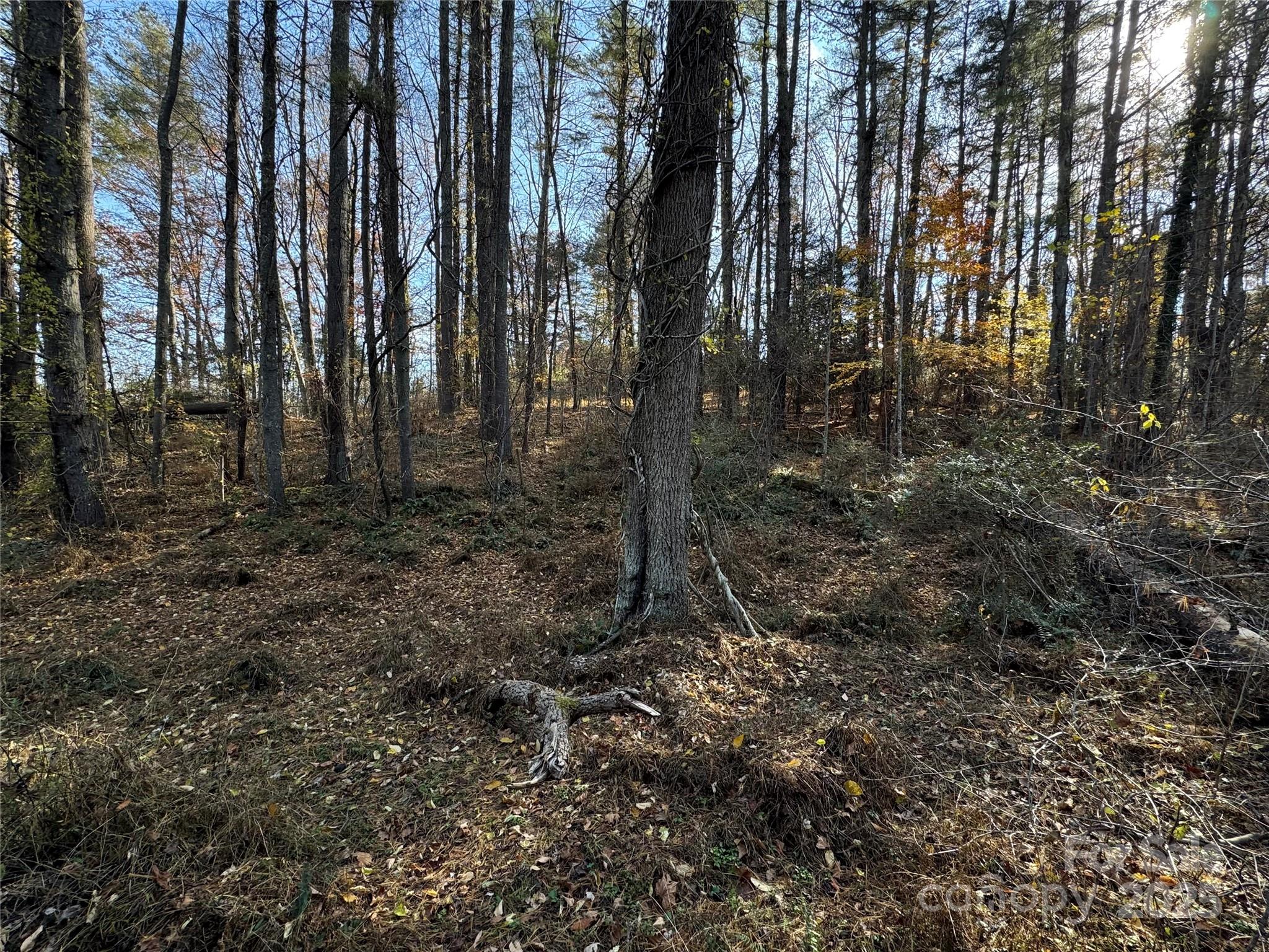 99999 Old Macedonia Road Alexander, NC 28701 - Photo 6 of 6 a view of a backyard