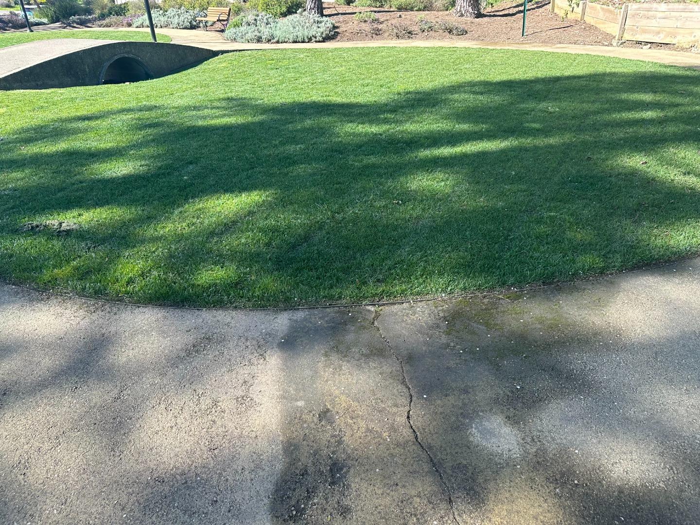 1242 Terra Nova Boulevard Pacifica, CA 94044 - Photo 21 of 26 a view of a garden with a bench