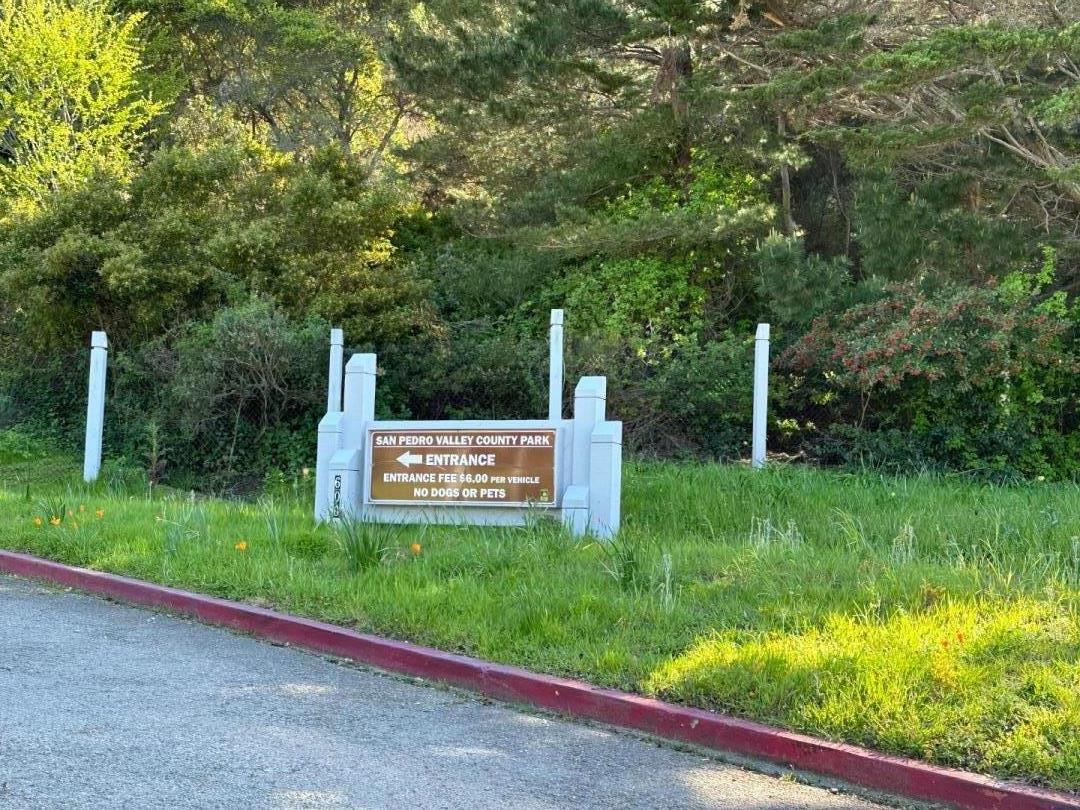 1242 Terra Nova Boulevard Pacifica, CA 94044 - Photo 26 of 26 a sign that is sitting in the grass near a tree