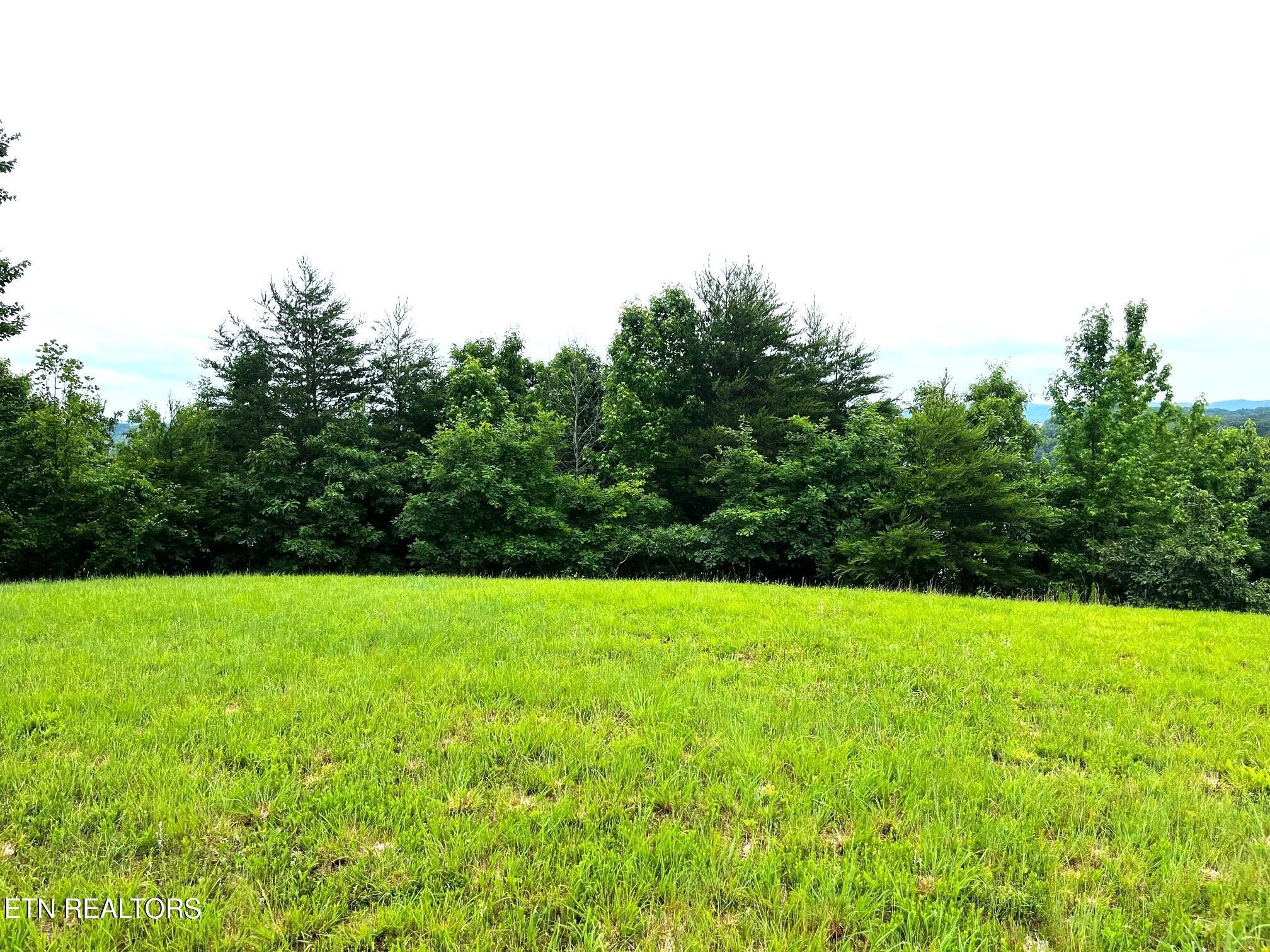 295 River Run Trail Spring City, TN 37381 - Photo 25 of 26