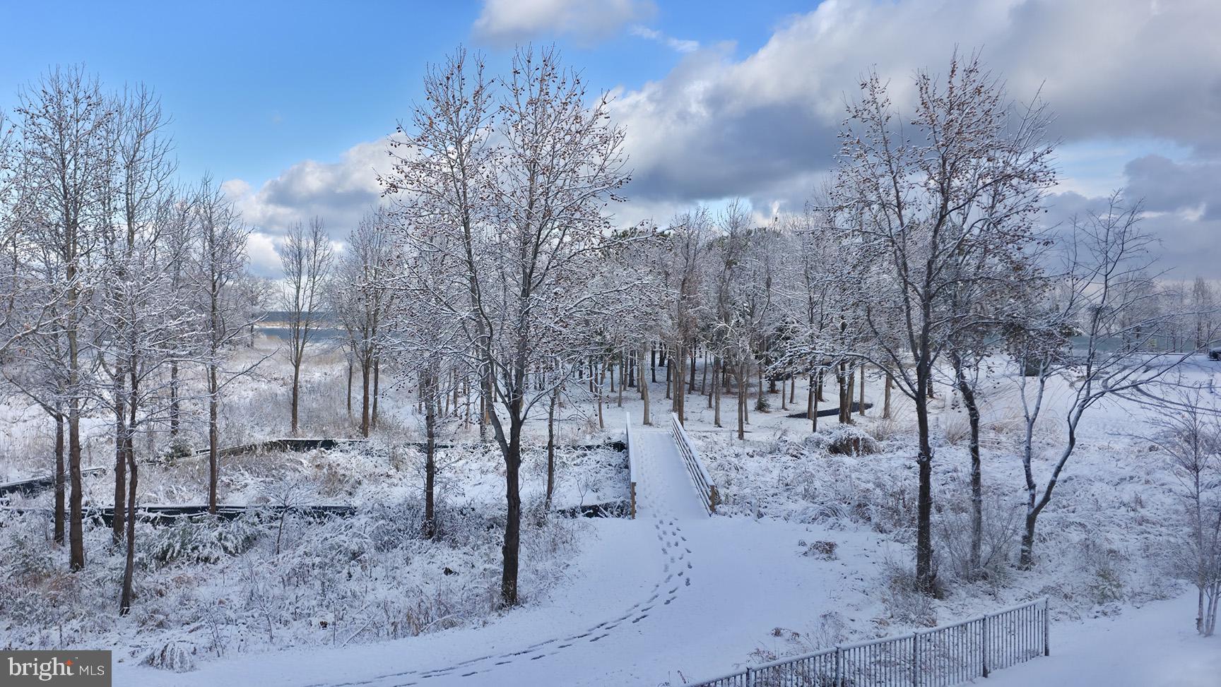 230 Switchgrass Way, Unit 21 Chester, MD 21619 - Photo 22 of 66 View from the Balcony