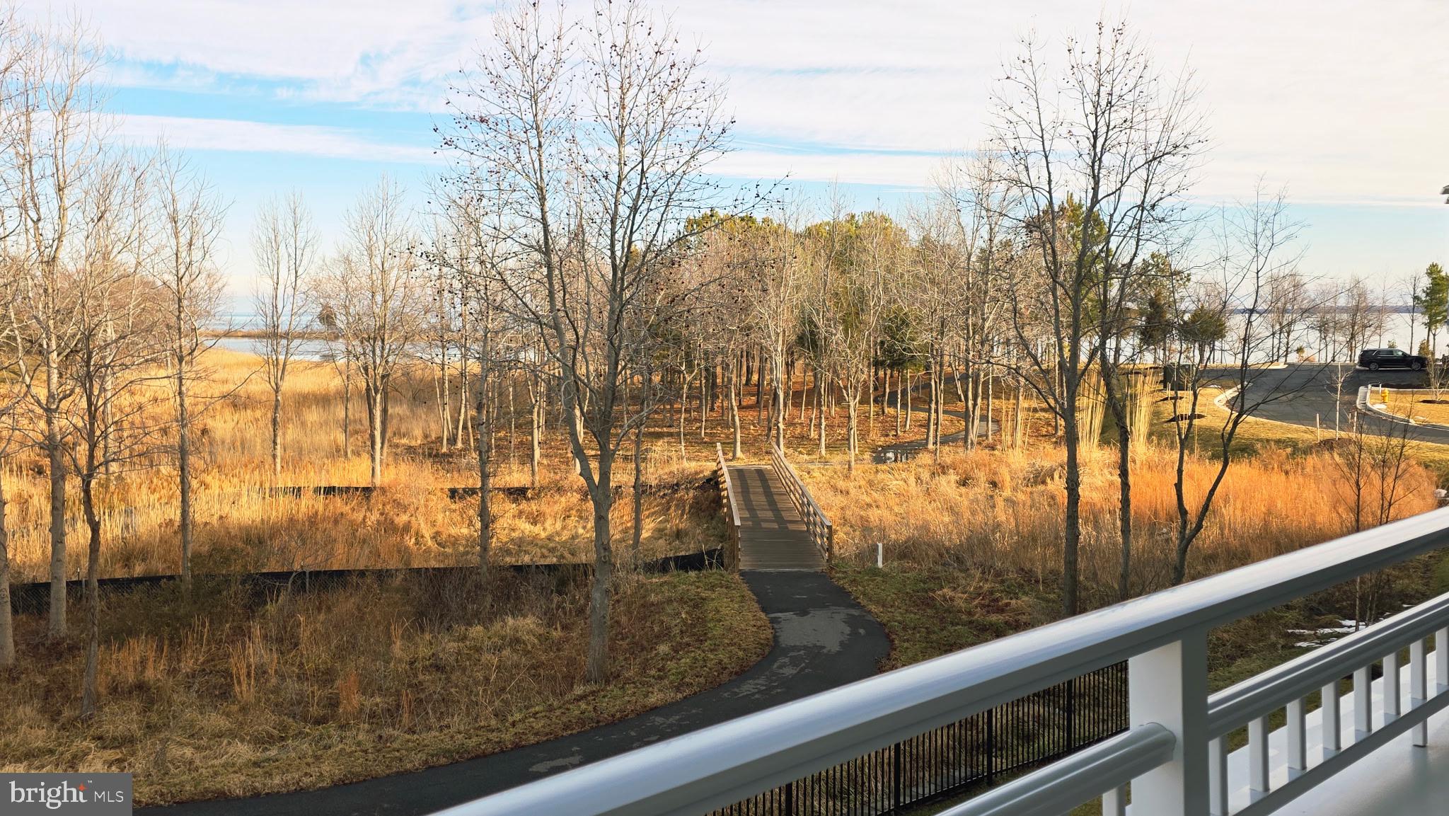 230 Switchgrass Way, Unit 21 Chester, MD 21619 - Photo 39 of 66 Balcony View
