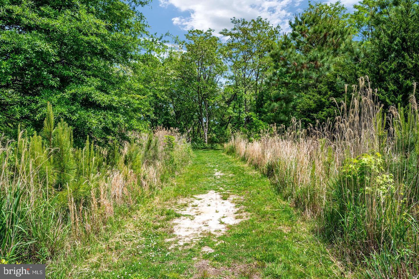 230 Switchgrass Way, Unit 21 Chester, MD 21619 - Photo 59 of 66 Walking Trail