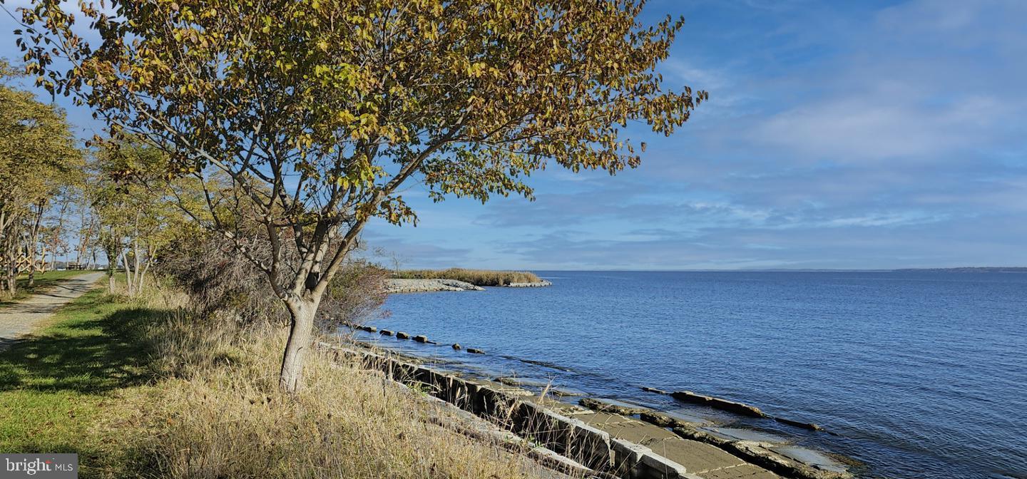 230 Switchgrass Way, Unit 21 Chester, MD 21619 - Photo 60 of 66 Waters Edge Trail