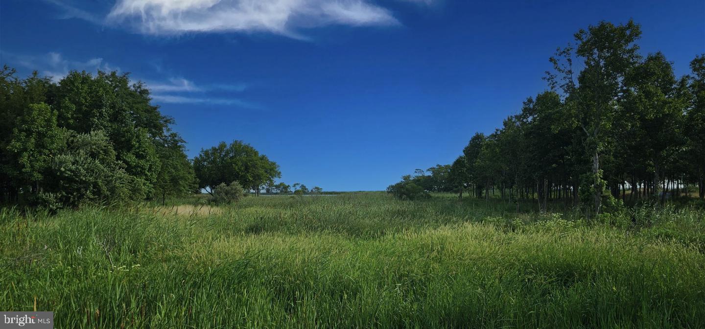 230 Switchgrass Way, Unit 21 Chester, MD 21619 - Photo 61 of 66 Walking Path