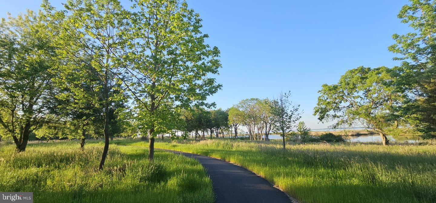 230 Switchgrass Way, Unit 21 Chester, MD 21619 - Photo 62 of 66 Walking Path