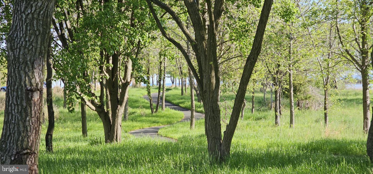 230 Switchgrass Way, Unit 21 Chester, MD 21619 - Photo 63 of 66 Walking Path
