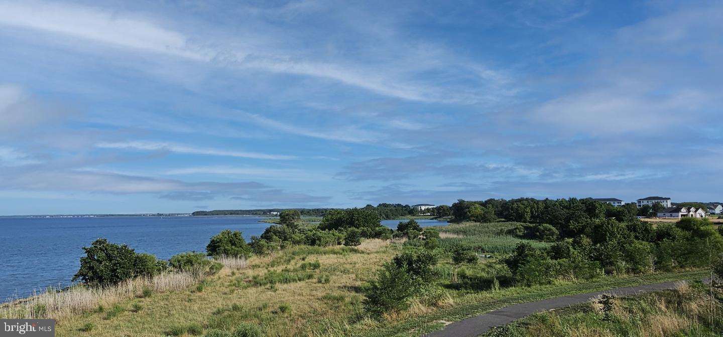 230 Switchgrass Way, Unit 21 Chester, MD 21619 - Photo 64 of 66 Walking Path