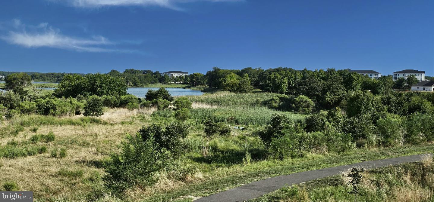 230 Switchgrass Way, Unit 21 Chester, MD 21619 - Photo 65 of 66 Walking Path