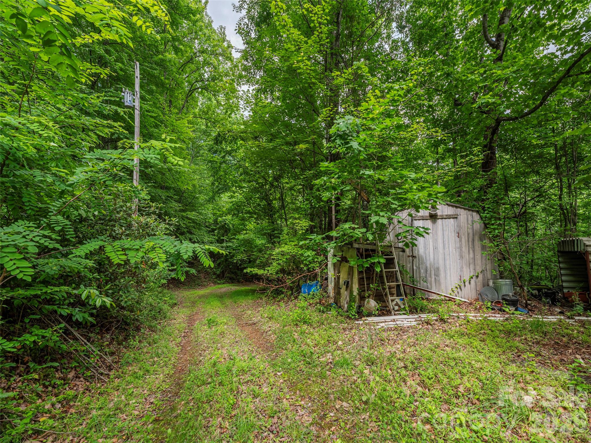 68 Long Ridge Road Candler, NC 28715 - Photo 10 of 13