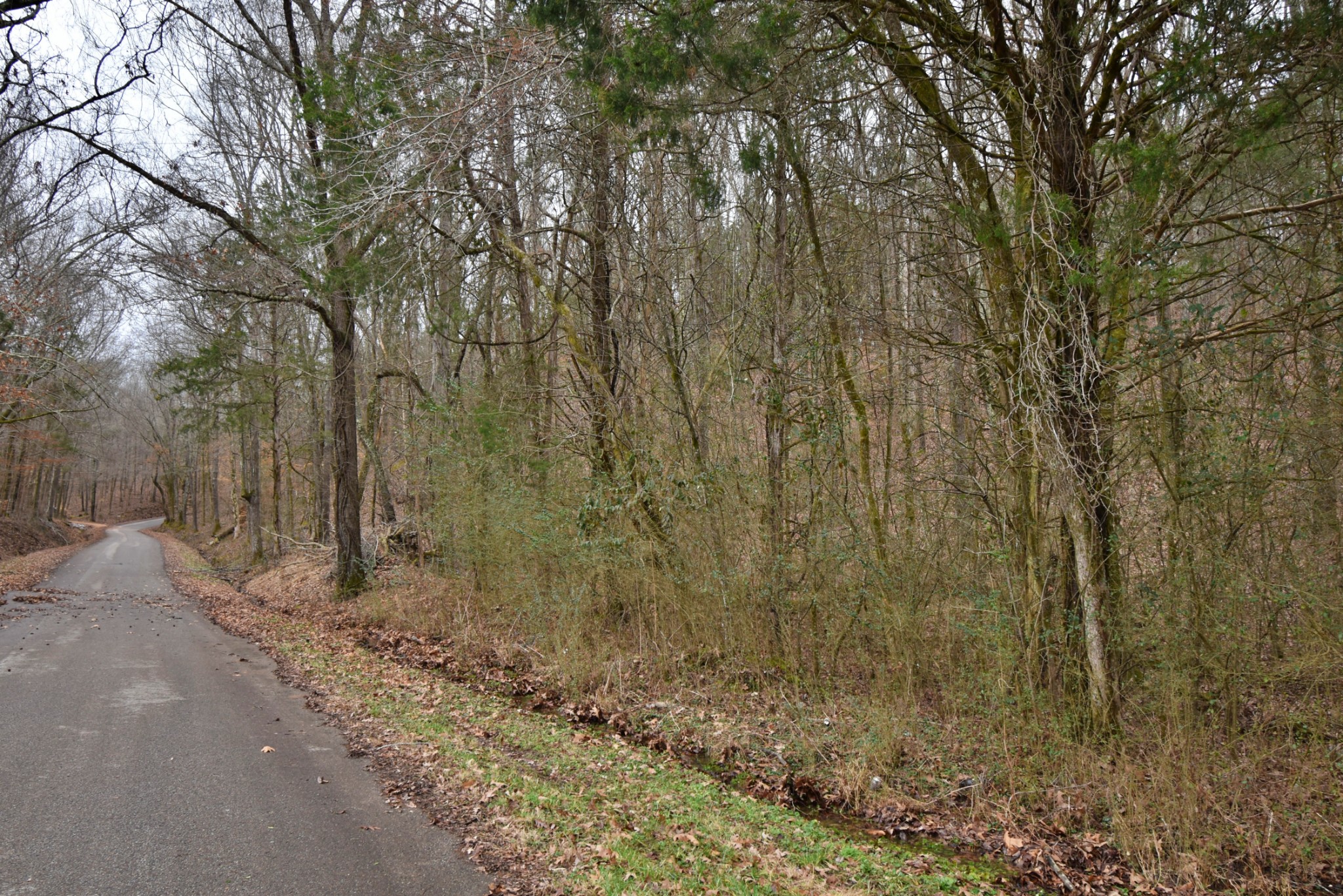 0 Beasley Hollow Road Linden, TN 37096 - Photo 1 of 7 Gallery Image 1