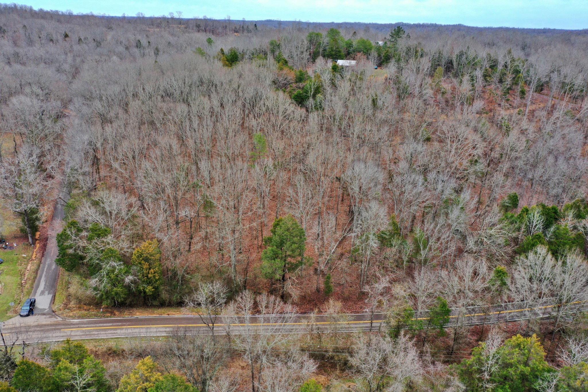 0 Beasley Hollow Road Linden, TN 37096 - Photo 2 of 7 Gallery Image 2