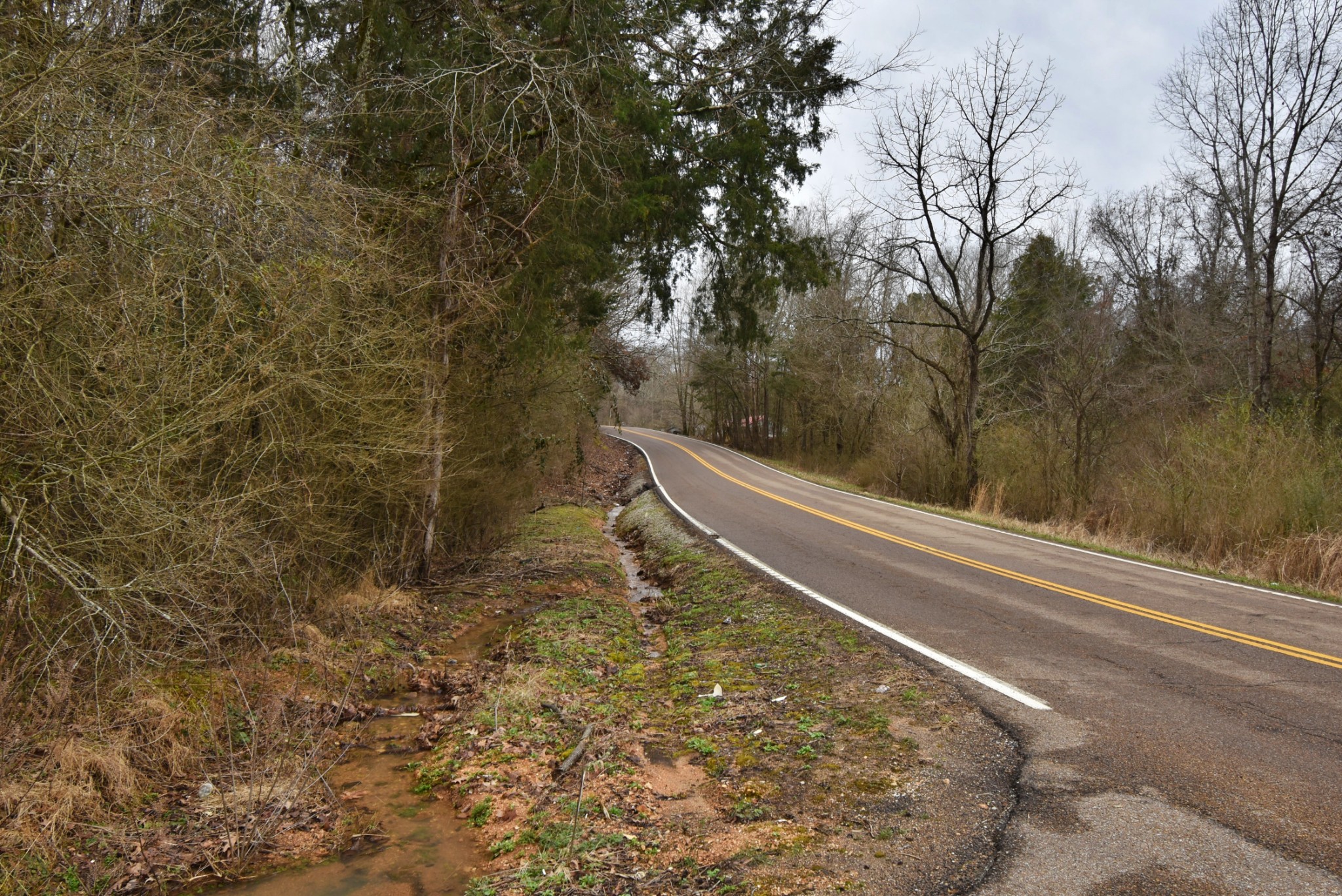 0 Beasley Hollow Road Linden, TN 37096 - Photo 3 of 7 Gallery Image 3